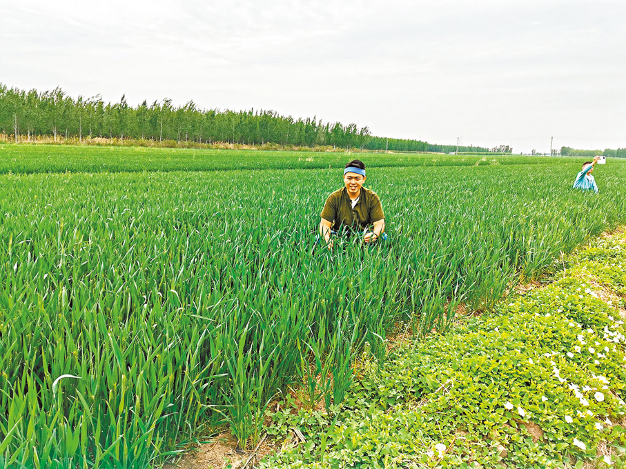 ◆許多人會來天真園的百畝良田了解有機農業。
