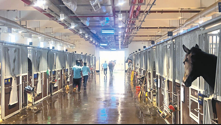 ◆從化馬場新建成的雙層馬房（局部）。