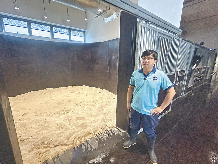 ◆從化馬場新建雙層馬房內部的「沙滾房」，馬匹可以在這裏放鬆腰部。