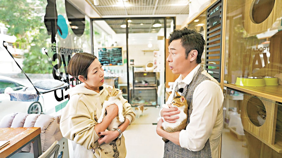 ◆許志安與芷珊到訪機構探望貓咪。