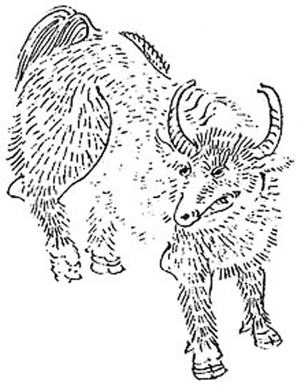 ◆窮奇　網上圖片