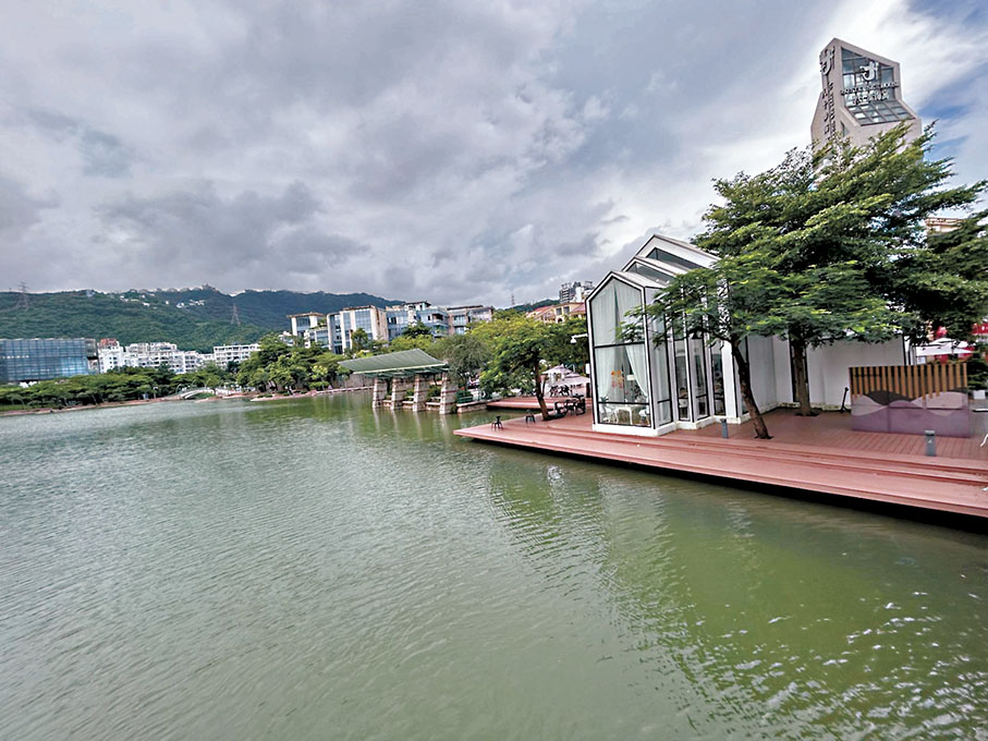 ◆棲息圖書館。作者供圖