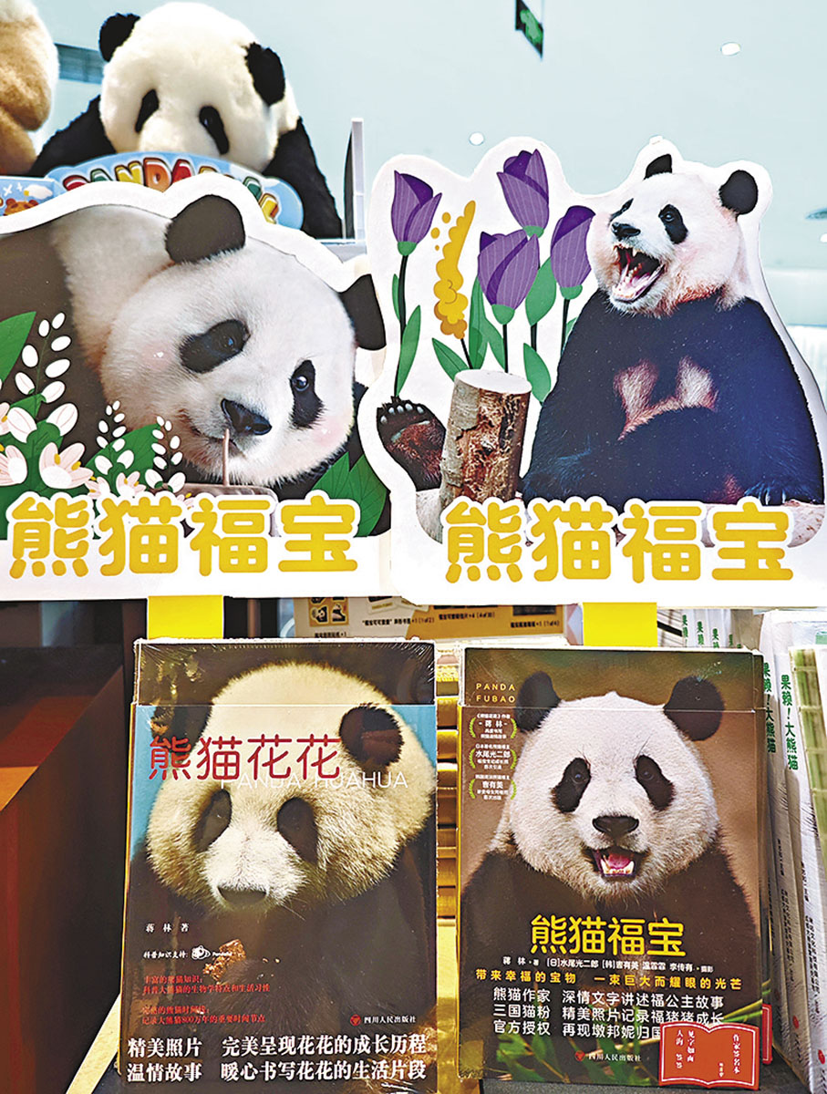 ◆《熊貓花花》《熊貓福寶》兩本書一脈相承。