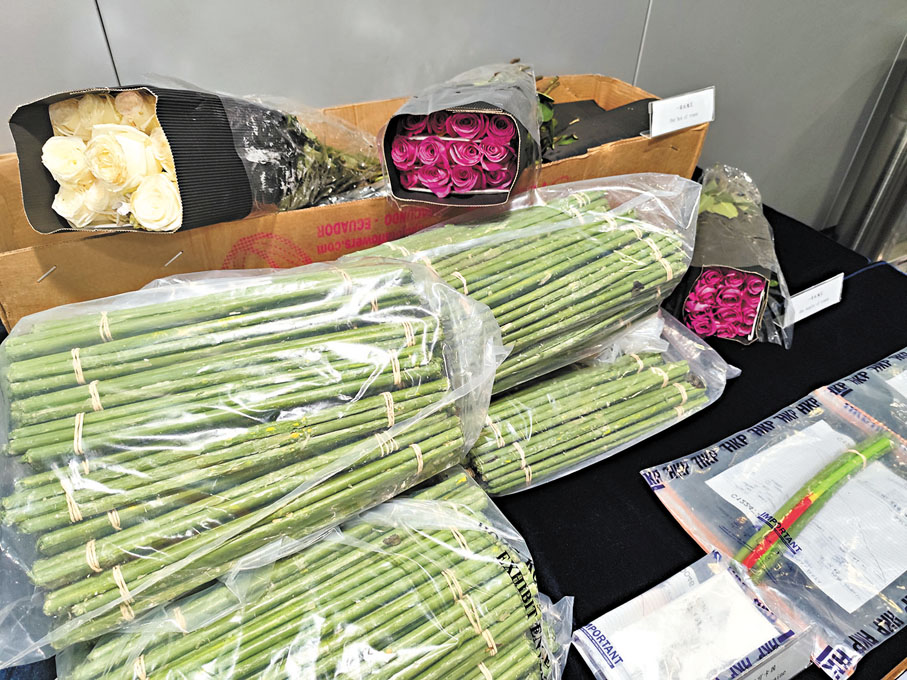 ◆毒販自製「毒玫瑰」 膠管扮花莖藏可卡因，警檢3,300萬元貨。香港文匯報記者鄺福強 攝