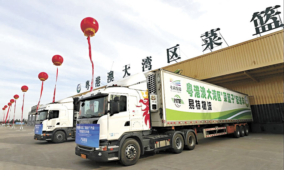  ◆粵港澳大灣區「菜籃子」山東配送中心。 香港文匯報北京傳真