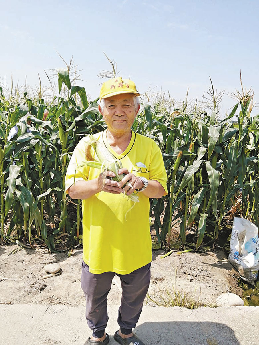 ◆豐碩果園第一代主人沈爸爸教你摘玉米。