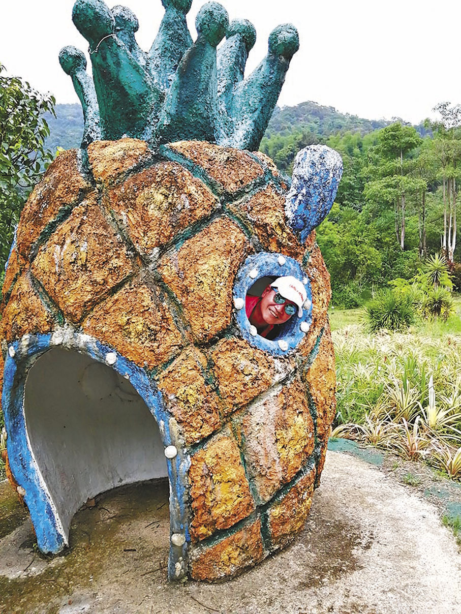 ◆園內有鳳梨裝置供打卡。