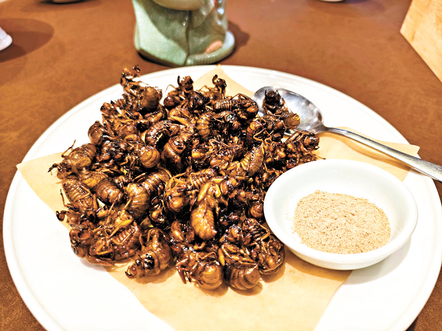 ◆被當地人稱為「炸知了猴」的特色菜餚。
