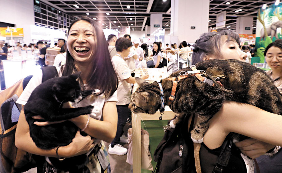 ◆貓迷博覽會現場「貓」頭湧湧，不少市民帶同愛貓逛展，與其他貓咪家長交流「湊貓經」。香港文匯報記者郭木又 攝