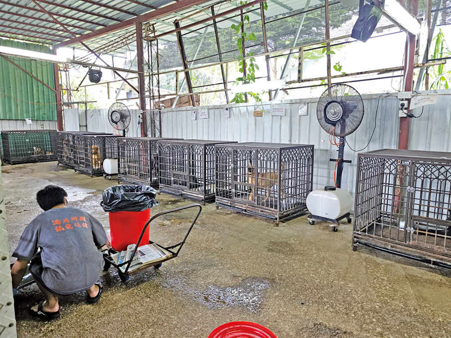 ◆阿棍屋內設有嚴格的分區以保證動物的安全。