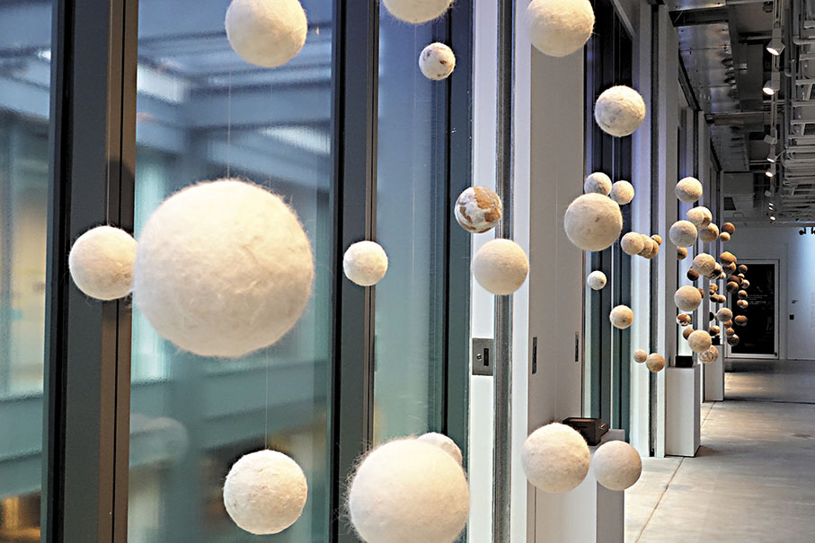 ◆作品《寰》動物毛球的背後，是相遇的動人故事。