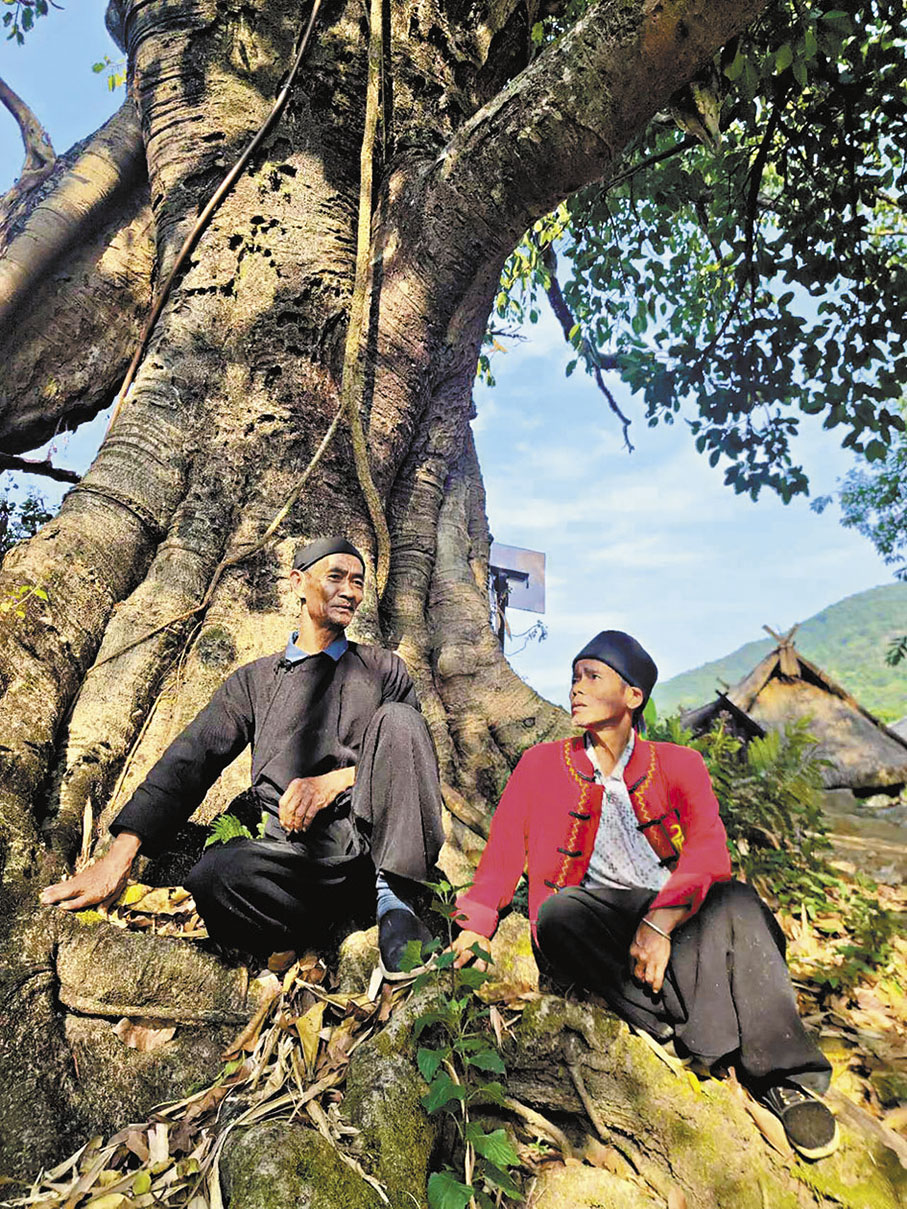 ◆肖泥塊（左）在大樹下調侃肖紹兵（右）。