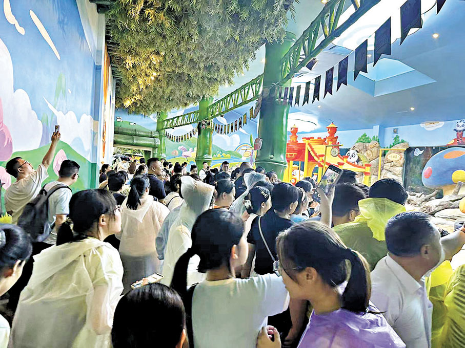 ◆暑期有許多來看熊貓的親子遊客。