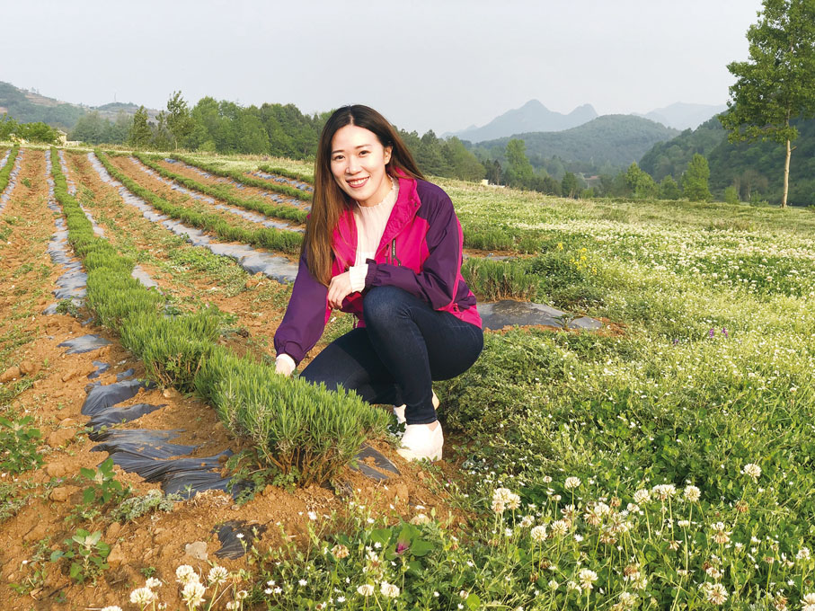 ◆ 2018年，梁安莉團隊嘗試種植了500畝薰衣草。圖為她在薰衣草基地留影。