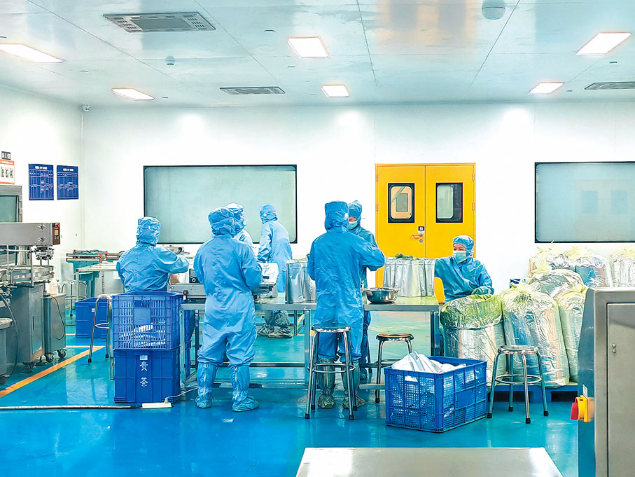 ◆抹茶生產車間工人正在進行裝配。   香港文匯報記者熊君慧  攝