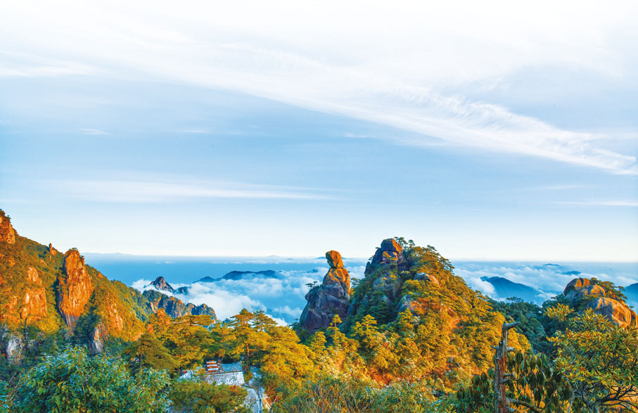 ◆ 「司春女神」。