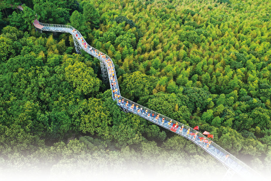 ◆ 遊客在林海中穿梭。