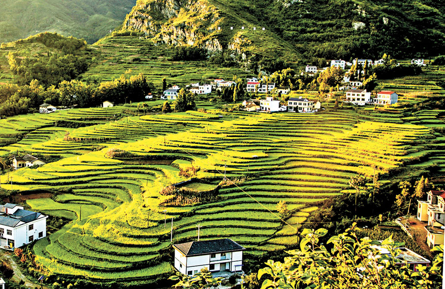 ◆陝西鳳堰梯田阡陌相連，獨具特色。  香港文匯報陝西傳真