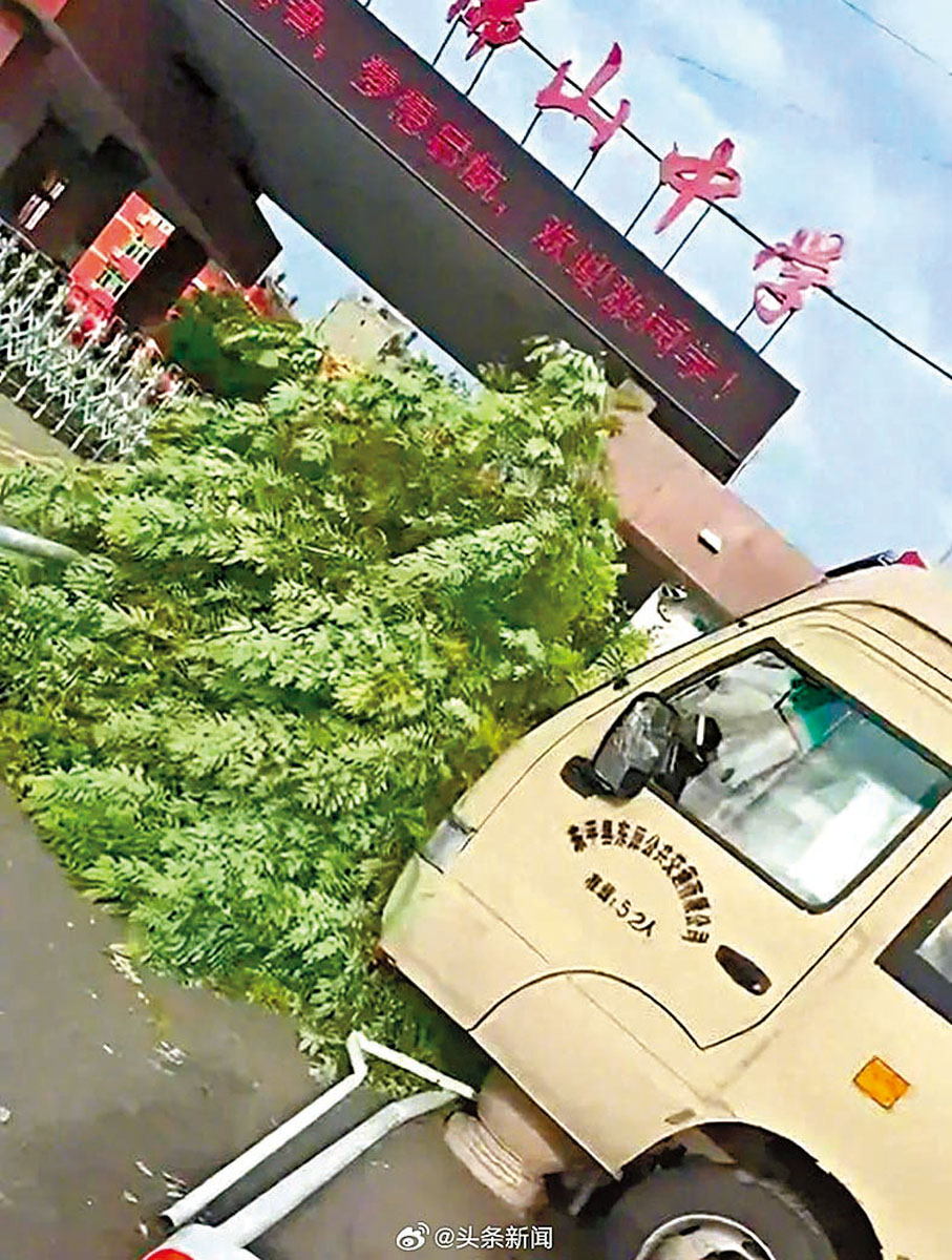 ◆山東省泰安市東平縣交通事故現場。 網上圖片