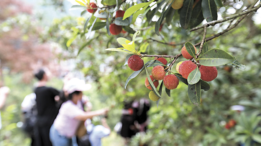 ● 「望梅止渴」、「畫餅充飢」這種安慰劑效應，究竟是怎樣發生的？ 資料圖片