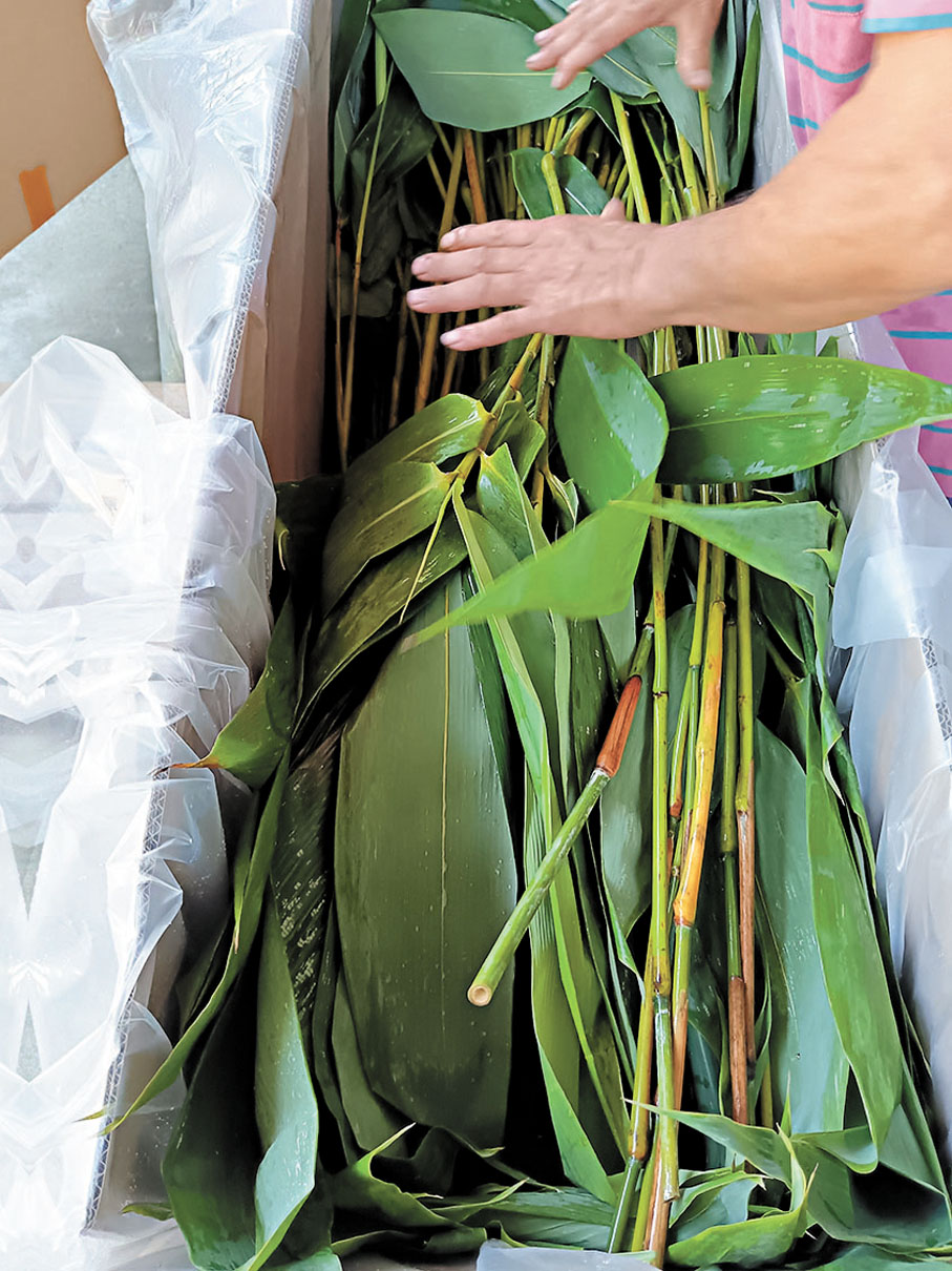 5裝箱運港：打包裝車，直供香港。 ●整理：香港文匯報記者  敖敏輝