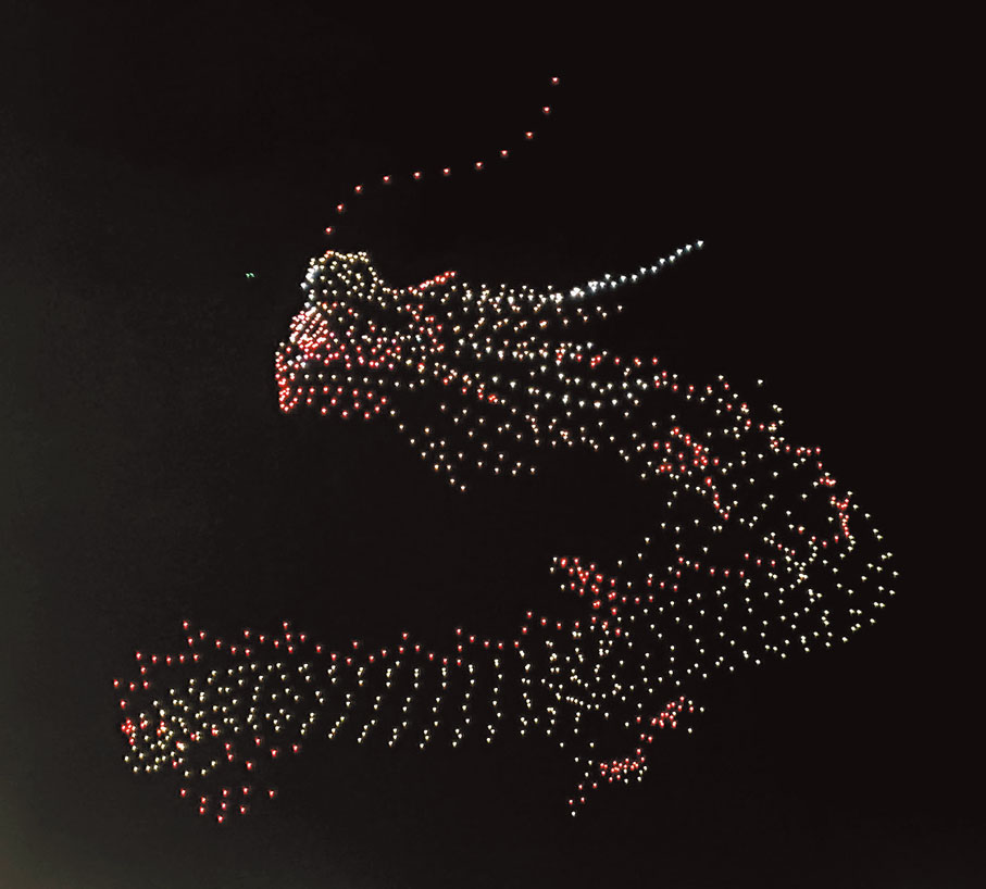 ●「飛龍在天，祥龍獻瑞」