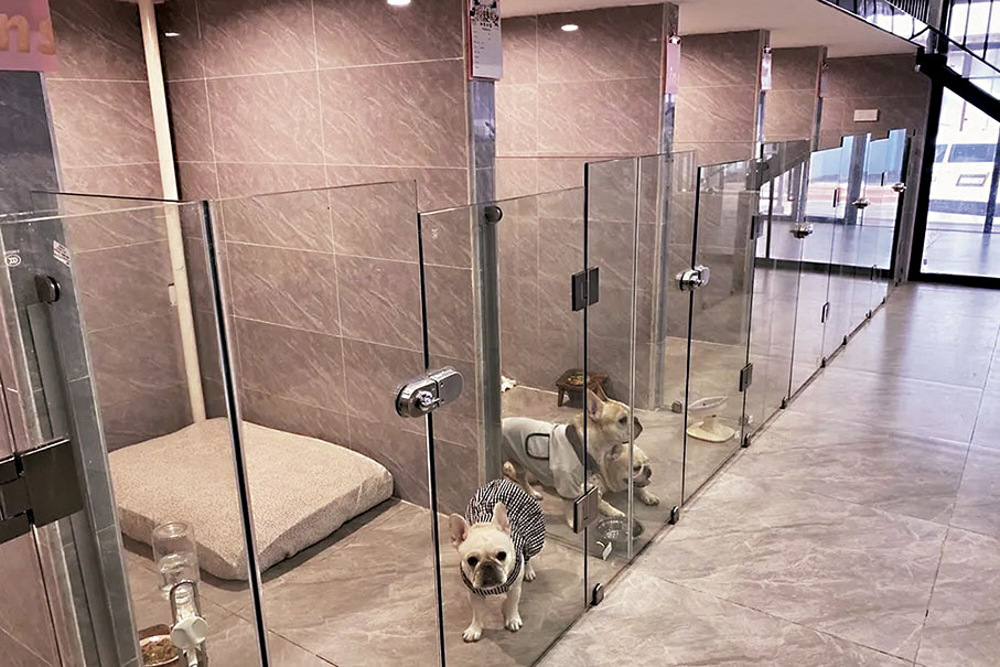 ●「寵物酒店」為萌寵們提供更寬敞、舒適的寄養環境。圖為廣州一家寵物酒店內景。 香港文匯報廣州傳真