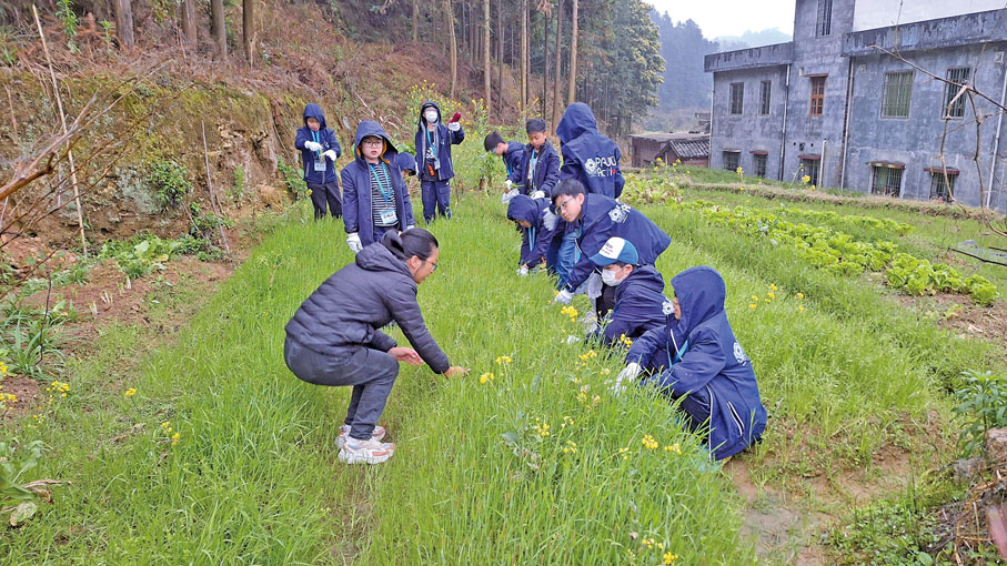 ●香港青少年與清遠當地學生打成一片。
