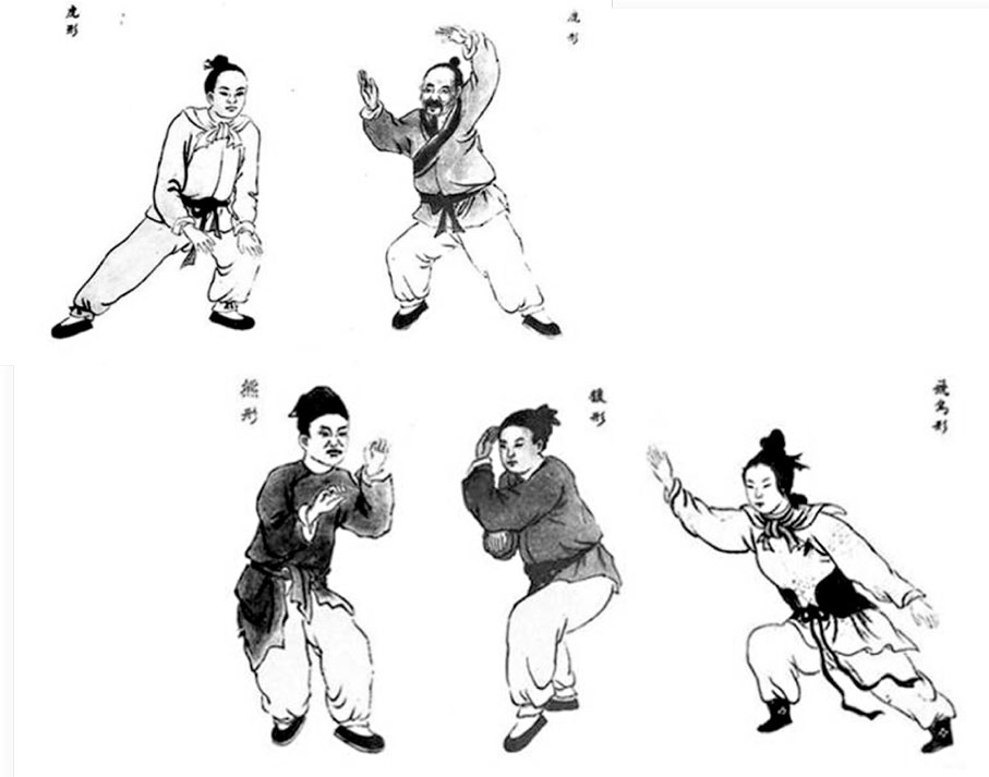 ● 華佗創編的五禽戲健體操包含五種類似動物的動作，分別為虎、鹿、熊、猿、鶴。資料圖片