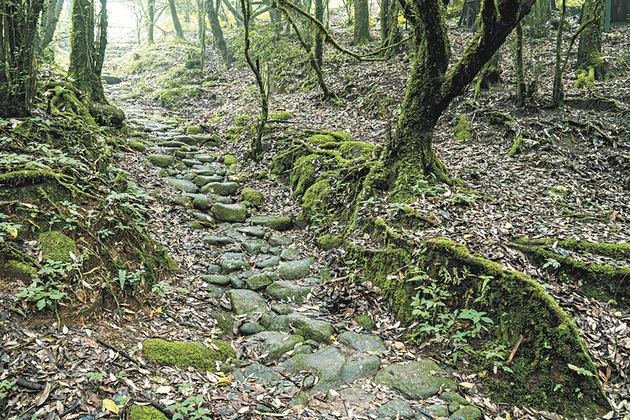 ●圖為哀牢山的茶馬古道景區。 作者供圖