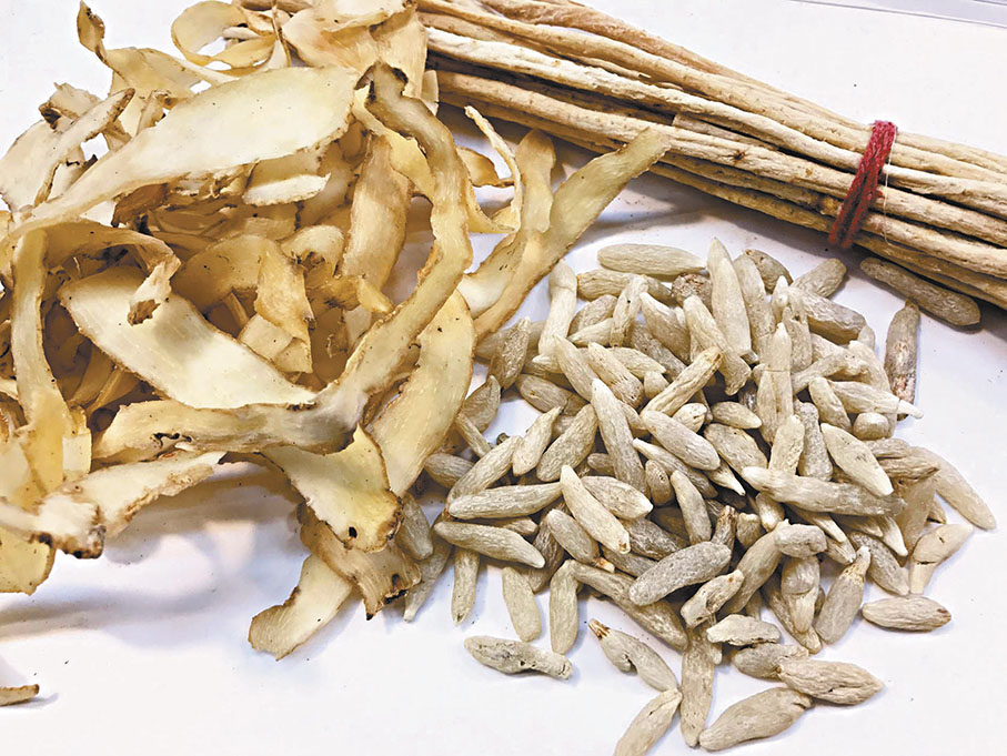 ●沙參、玉竹、麥冬