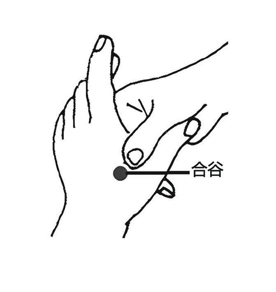 ●按揉合谷穴