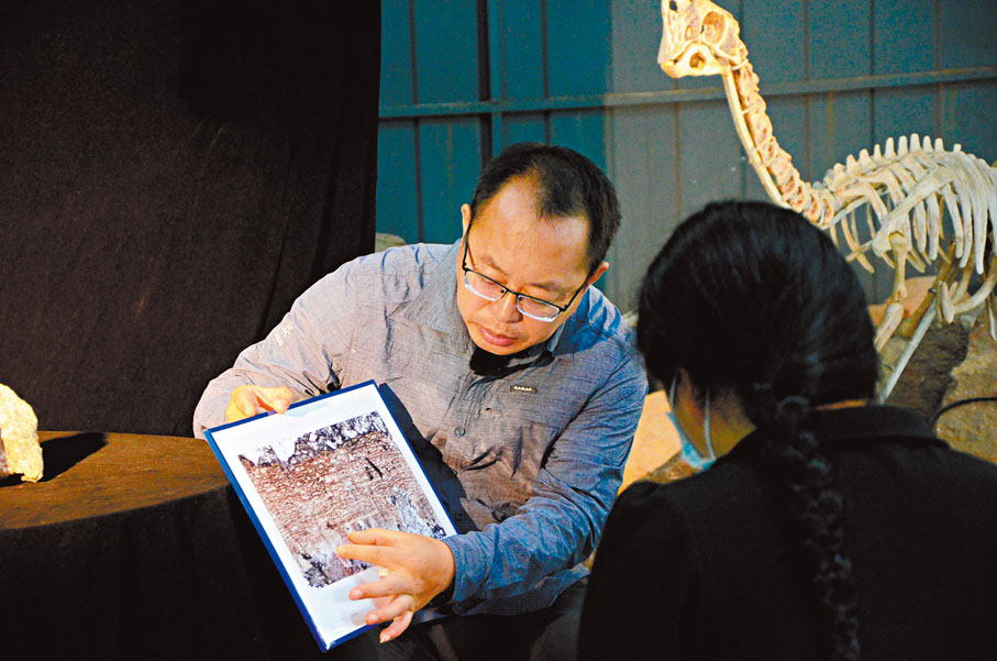 ●王博赴河源研究河源發現的恐龍蛋。受訪者供圖