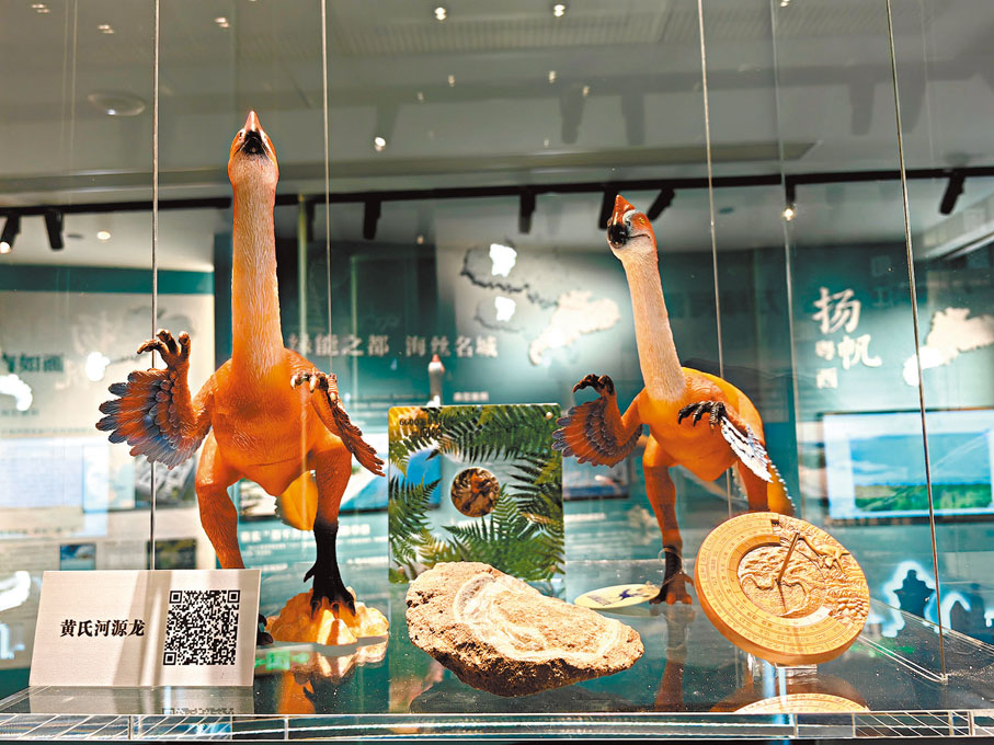 ●黃氏河源龍，大小似現在的鴕鳥。   受訪者供圖