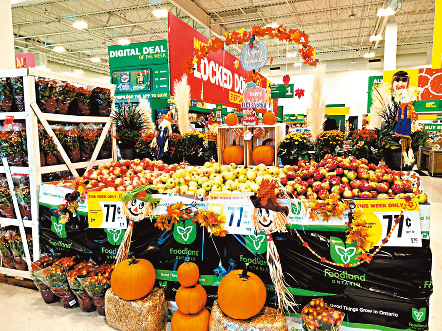 ●萬聖節商品類別琳瑯滿目，迎合不同消費者喜好。      成小智 攝