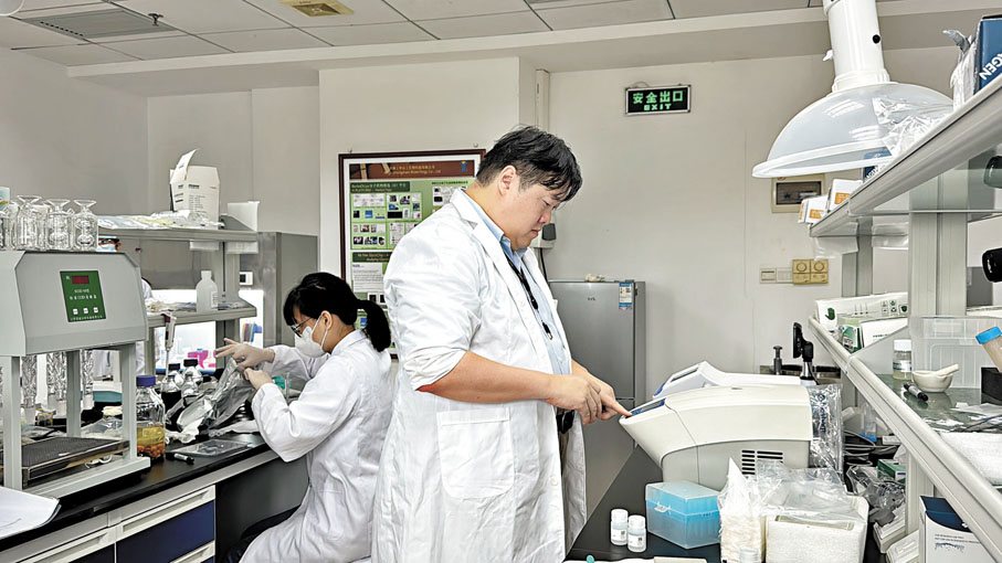 ●科研工作者構成了廣東科技創新的重要支撐力量。圖為香港青年創業者和同事在中山的實驗室做實驗。 資料圖片