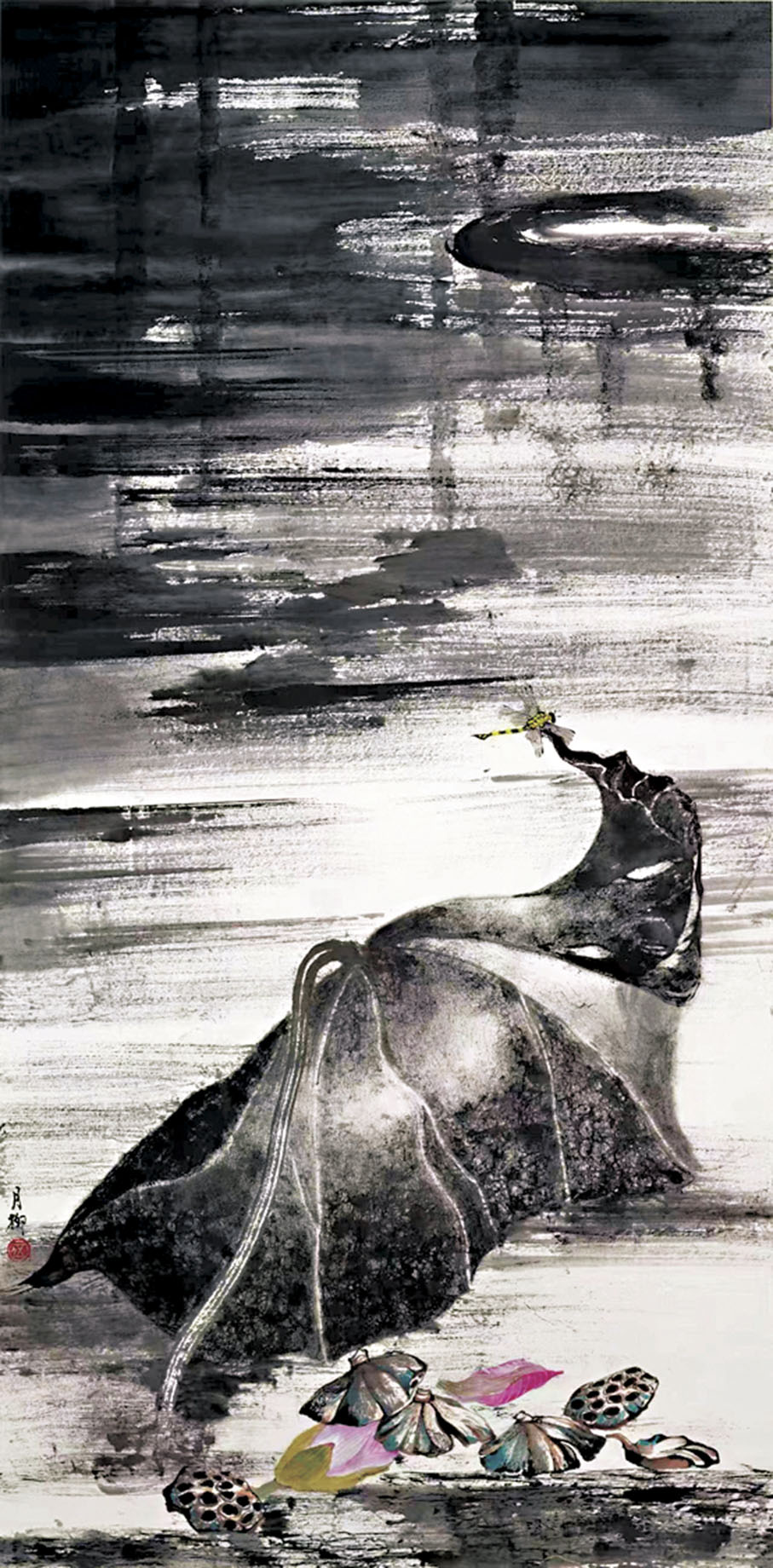 ●《結子荷塘話秋涼》