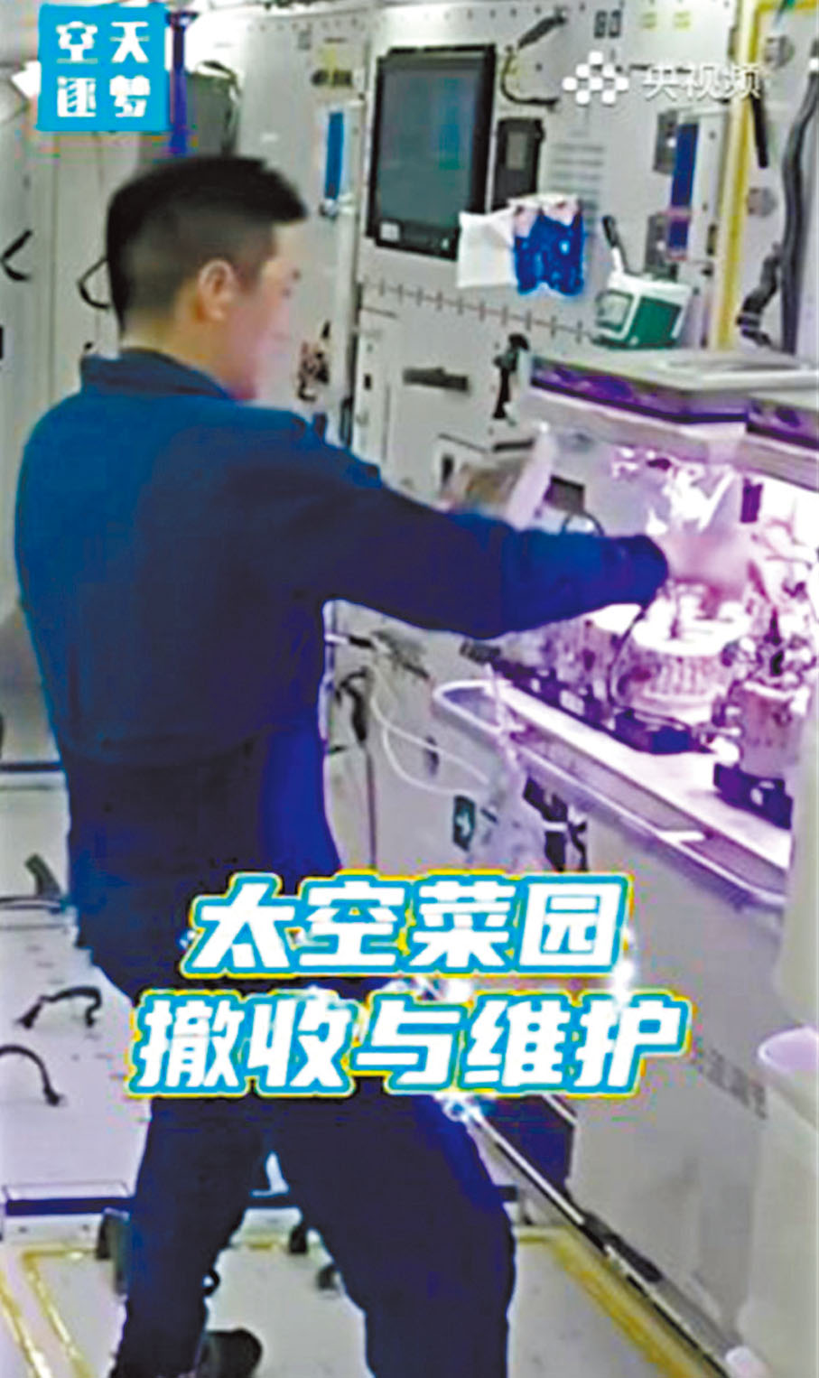 ●神十八乘組返回前準備，包括太空菜園撤收與維護。 視頻截圖