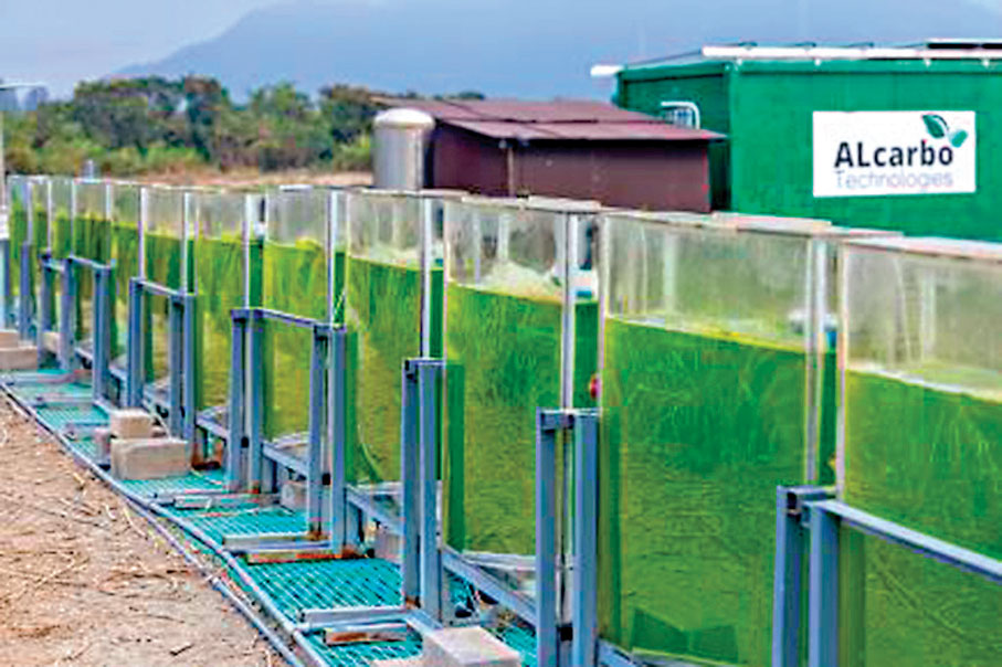 ●圖為藻碳科技於元朗建立的微藻養殖場，可助進一步研究之外，同時可向潛在客戶示範運作模式。網上圖片