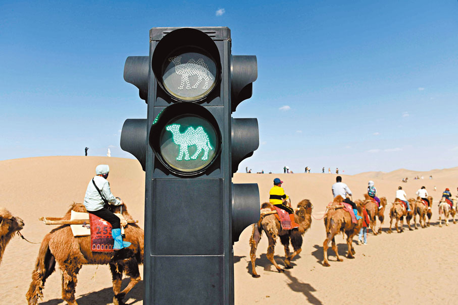 ●圖為遊客乘坐駱駝過「駱駝紅綠燈」路口。資料圖片