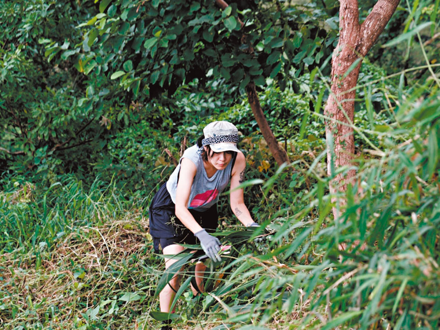 ●在叢林中割草剪枝，黃琪逐漸熟悉各類野草的特性。