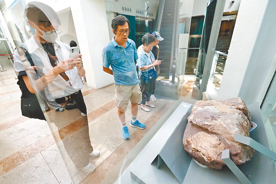 ●赤洲發現的恐龍化石正於香港文物探知館展出，吸引眾多市民入場參觀。資料圖片