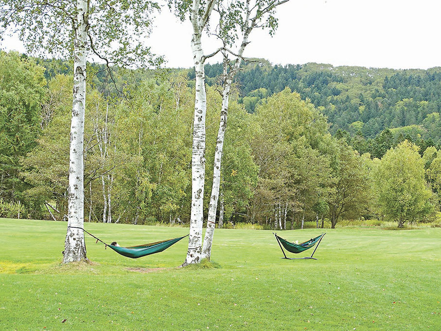 ●農場設有吊床供大家體驗親近大自然。