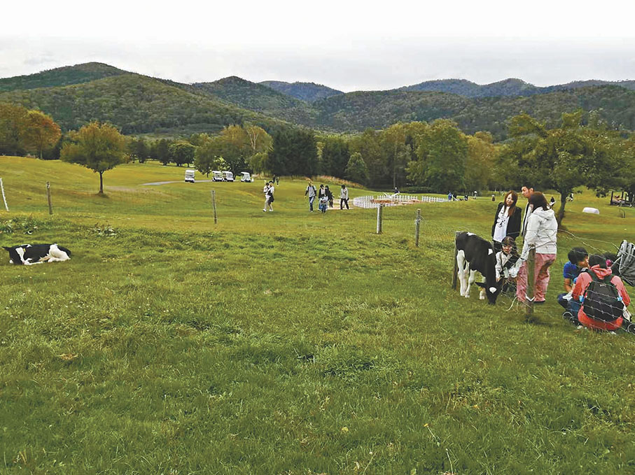 ●一家大小在度假村農場上玩樂