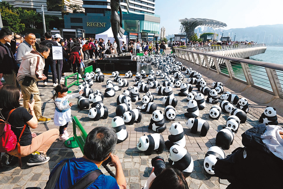 ●全港最大型熊貓展覽《PANDA GO！香港遊》，昨起一連兩天（7日至8日）在尖沙咀星光大道舉行。 香港文匯報記者涂穴 攝
