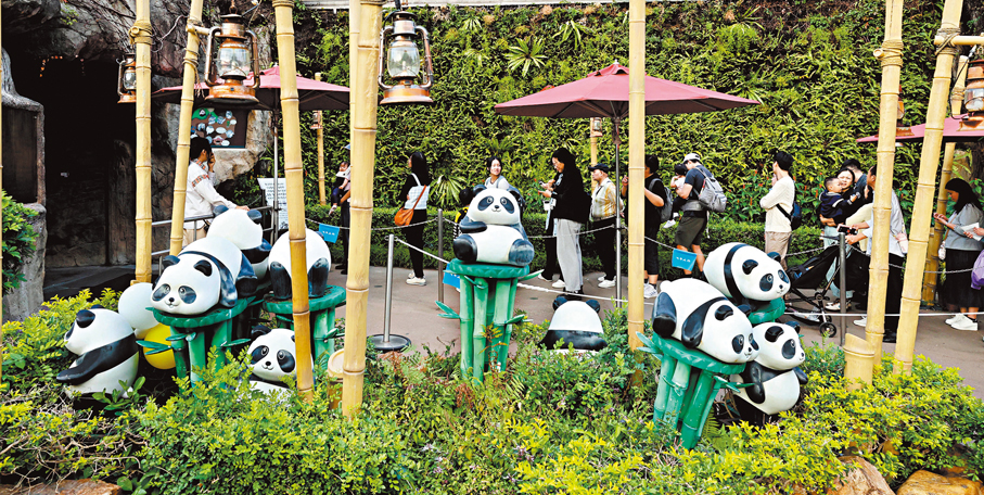 ●海洋公園內設有不少大熊貓布置。香港文匯報記者曾興偉  攝