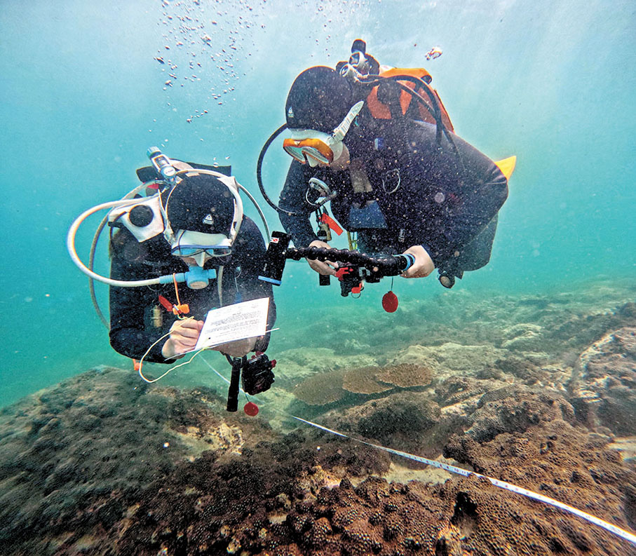 ●兩名普查員正進行珊瑚調查。