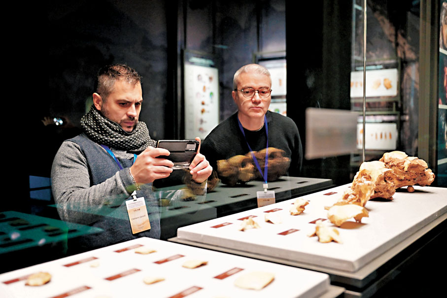 ●12月6日，在安徽省池州市東至縣，參與2024華龍洞遺址學術研討會的國外專家學者在華龍洞遺址陳列館參觀。 新華社