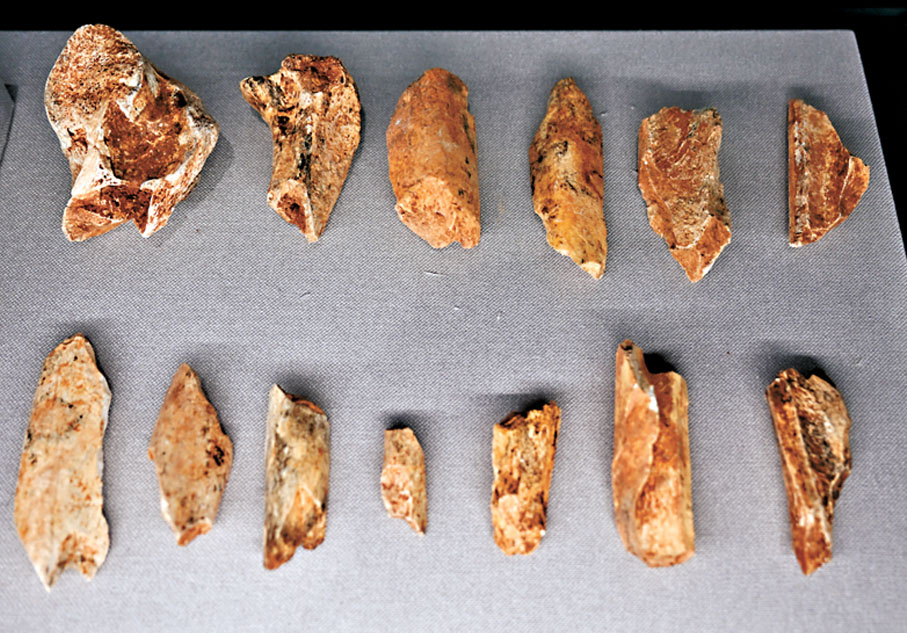 ●12月6日在位於安徽省池州市東至縣的華龍洞遺址陳列館拍攝的華龍洞遺址出土動物骨片，骨片上有人工砍砸痕跡。 新華社