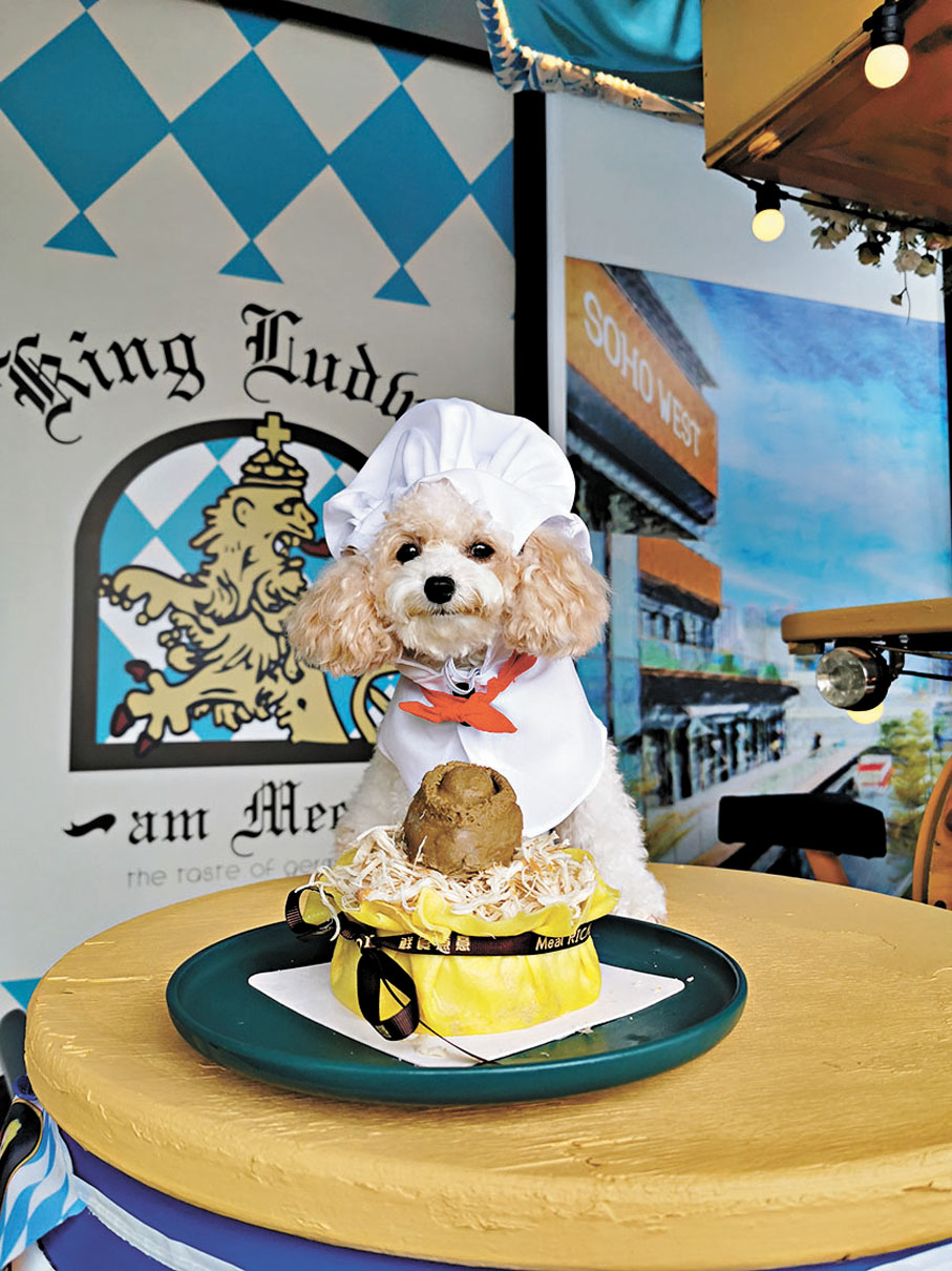 ●專為寵物設計的「鮑魚」。